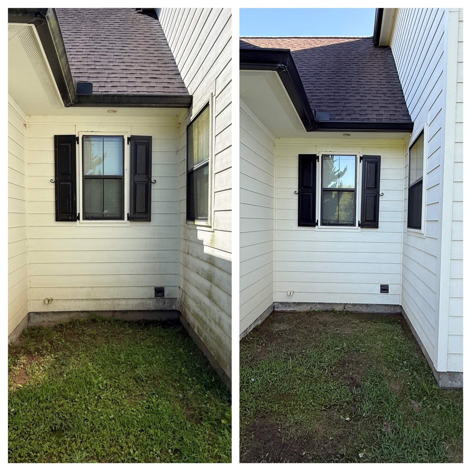 Soft Washing project results